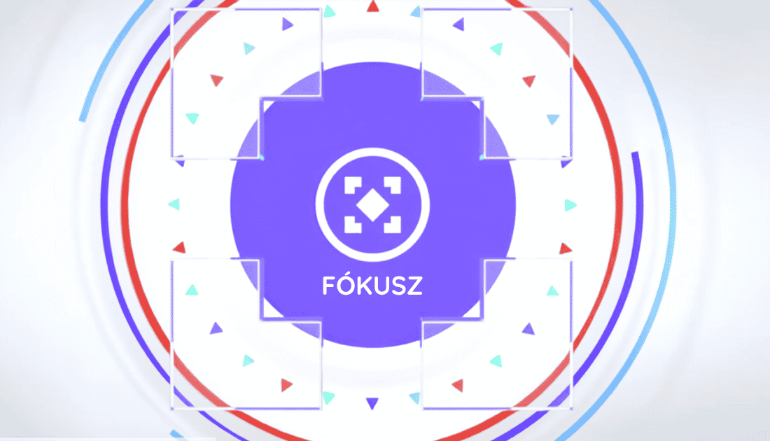 RTL Fókusz Borsody István riport